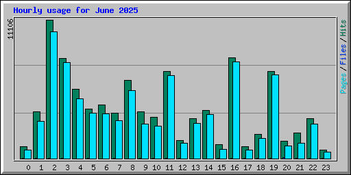Hourly usage for June 2025