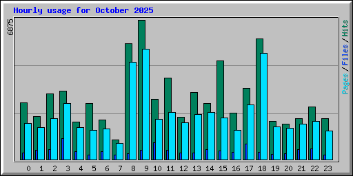 Hourly usage for October 2025