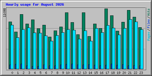 Hourly usage for August 2026